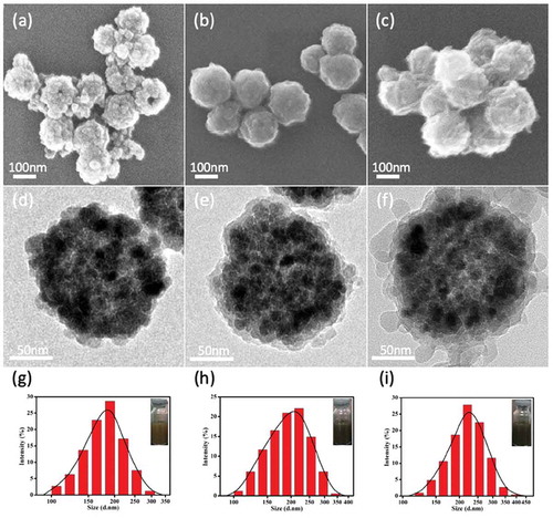 Figure 1. SEM, TEM graphs and DLS size distributions of (a,d,g) the synthesized Fe3O4, (b,e,h) Fe3O4@PDA, and (c,f,i) Fe3O4@PDA@ZIF-90 nanoparticles (inset: photographs of the nanoparticles dispersed in water) .