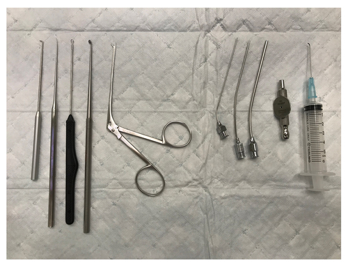 Figure 1 Instruments commonly used for removal of aural foreign body.