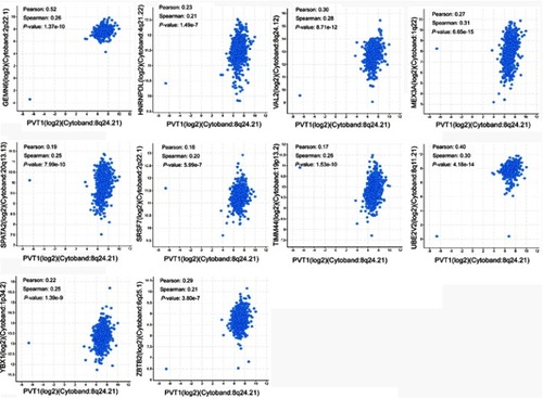 Figure S2 The potential 10 target genes that regulated by PVT1/miR-216a-5p axis in CRC.