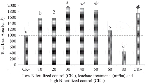 Figure 1. Effect of leachate application rate on total leaf area per plant compared to low (2 mM N; CK−) and high mineral N-fertilized controls (20 mM N; CK+) of corn grown for 5 weeks in the greenhouse and in 3.7 L pots filled with vermiculite and Turface calcined clay. The leachate contained 133 mg N/100 ml, 30 mg P/100 ml, and 315 mg K/100 ml, and the volume added per pot varied from the equivalent of 10 m3/ha (50 ml) to 80 m3/ha (400 ml). The dotted line represents leaf area obtained with CK- treatment. Data are mean values of four replicates with one plant per pot. Means associated with the same letter are not significantly different according to the LSD test (P < 0.05).