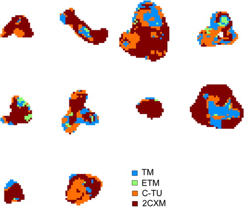 Figure 2. Central transverse tumour slices of AICcmin maps in 10 patients.