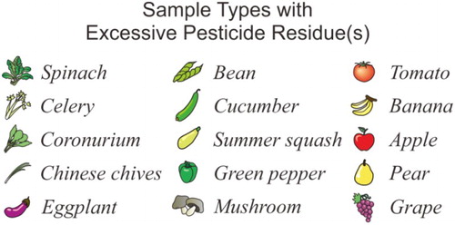 Figure 5. Design of symbols for sample types.