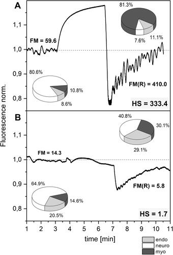 Figure 1 Exemplary FMSF traces recorded for two individuals: (A) highly trained athlete with very high sensitivity to hypoxia (male, age 24 y., long-distance runner), (B) diabetes type 2 patient with very low sensitivity to hypoxia (male, age 70 y., disease duration 20 y., retinopathy, neuropathy). Relative contribution to the low-frequency oscillations: endo-endothelial, neuro-neurogenic and myo-myogenic.