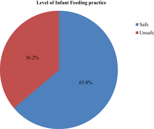 Figure 3 Level of infant feeding practices among HIV positive mothers attending PMTCT at selected governmental hospitals in Afar regional state, Ethiopia, 2022 [n= 423].