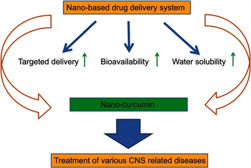 Figure 1 Nano-based drug delivery system for targeted delivery and enhancement of water solubility and bioavailability of curcumin.Abbreviation: CNS, Central nervous system.