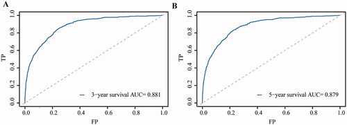 Figure 2. ROC curves of nomogram for predicting the OS of cervical cancer patients. (A) Three-year OS and (B) five-year OS.