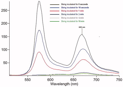Figure 2. Fluorescence responses of RGD-Cy5-R-PE toward heating at 80 °C with different incubation times.