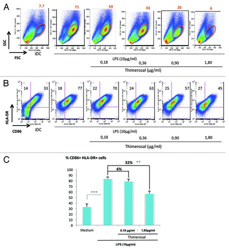 Figure 2. Inhibition by thimerosal of LPS-induced DC maturation. Maturation of iDCs was induced by overnight incubation with LPS at 10 µg/mL, in the presence of thimerosal at indicated concentrations. (A) Morphological criteria of DCs were analyzed according to FSC/SSC parameters, and the percentage of FSChighSSChigh cells is indicated. (B) The same culture was analyzed for DC maturation through the co-expression of CD86 and HLA-DR. (C) Compilation of data from 5 different donors, giving the percentages of CD86+HLA-DR+ DCs under various culture conditions. The bars indicate the mean and standard deviation. Asterisks indicate significant P-values (** < 0.05, *** < 0.001).