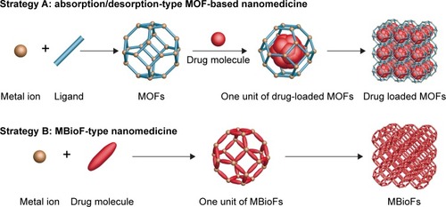 Figure 4 Formation of absorption/desorption-type MOF-based nanomedicine and MBioF-type nanomedicine by coordination-directed self-assembly processes.Abbreviations: MOF, metal–organic framework; MBioF, metal–biomolecule framework.