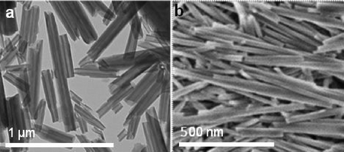 Figure 1. TEM (a) and SEM (b) images of halloysite nanotubes.