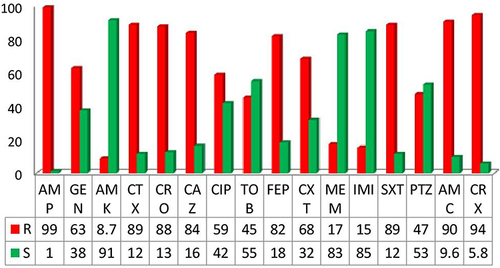 Figure 1 General AST patterns of Enterobacteriaceae isolates from BSI patients at TASH.