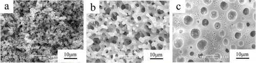Figure 3. Macroporous structure of the AlPO4 dried gels with varied PO amounts. (a) 0.38 ml; (b) 0.40 ml; (c) 0.42 ml.