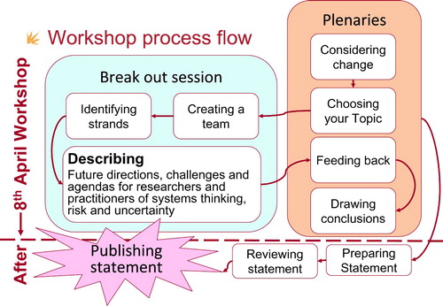 Figure 1. Workshop process.