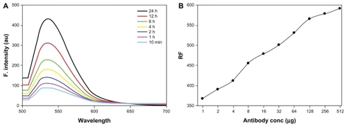 Figure 10 (A) Fluorescence spectra of antibody-conjugated gold nanoparticles at various specified time points. (B) Relative fluorescence of antibody-conjugated gold particles to that of plain gold particles as a function of relative increase in amount of conjugated antibody concentration.