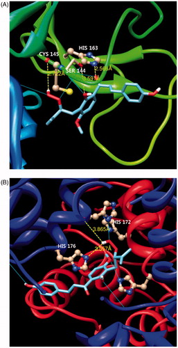 Figure 4. In silico molecular docking analysis of compound 6 binding to SARS-CoV 3CLpro (A) and PLpro (B).