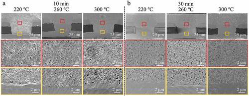 Figure 7. Low- and high-magnification cross-section SEM images of the filled microvias with depth/diameter of 50/75 μm after sintering at 220, 260, or 300°C under a pressure of 2 MPa for (a) 10 min and (b) 30 min. The small red and yellow boxes in each image in the top row indicate from where in each sample the high-magnification images with the corresponding frame color in the bottom two rows were obtained.