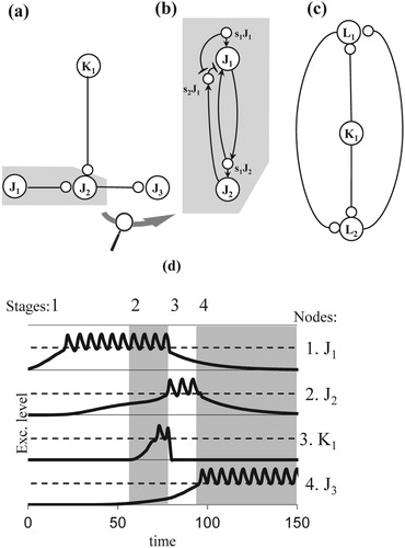 Figure 2. Networks for the propagation of an activation loop (a) nodes (large labelled circles), sub nodes (small circles) and connections of an intermediate node structure, (b) detailed representation of a connection comprising excitatory and inhibitory links, i.e. arrows and lines with T-endings, (c) cycle, (d) simulation of the propagation of an activation loop in an intermediate node structure; dashed lines indicate the level of the critical threshold, vertically aligned, indexed areas, alternately coloured white and grey, represent stages in the evolution of excitation levels, of which the graphs are aligned horizontally.