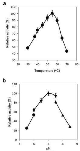 Figure 5. Effect of temperature and pH on enzyme activity of Bsu-Lac. (a) Effect of temperature. Activity assays were performed in 50 mM sodium phosphate (pH 7.0) buffer at 30–70 °C. (b) Effect of pH. Activity assays were conducted at 55 °C using MES buffer (pH 5.5–6.0, circles); sodium phosphate buffer (pH 6.0–7.5, squares) and Tris-HCl buffer (pH 7.5–8.5, triangles). Values are the averages from three measurements, and bars indicate the SD values.