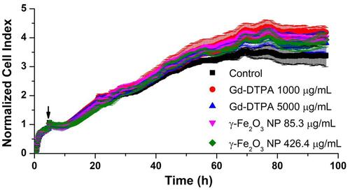 Figure 2 The growth curves of HUVEC cells in the presence of Gd-DTPA or γ-Fe2O3 NP at different concentrations. The black arrow indicates the time of the application of contrast agents. Error bars are standard deviation of 3 parallels.