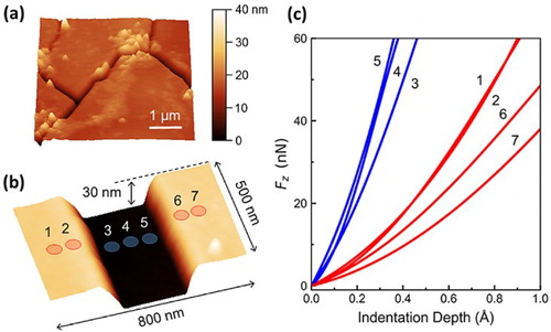 Figure 4. (a) Topography of Q-carbon filaments formed on a diamond-like carbon (DLC) film. (b) Topography of a filament cross-section; markers indicate positions across the filament where indentation measurements are conducted. (c) Indentation curves measured on the Q-carbon filament. Blue and red lines are measurements performed on the Q-carbon filament and the surrounding DLC film, respectively. Numbers refer to positions identified in (b) [Citation9].