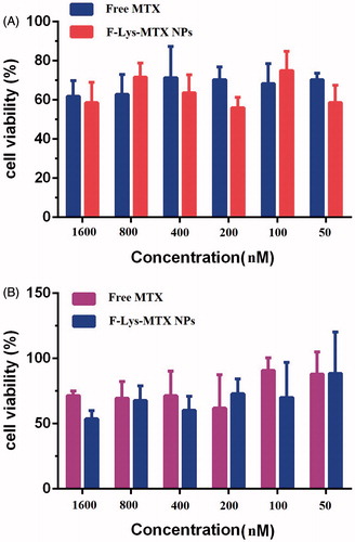 Figure 9. Cytotoxicity analysis of free MTX and F-Lys-MTX NPs against human breast adenocarcinoma (MCF7) cell lines after incubated for (A) 48 h and (B) 72 h.