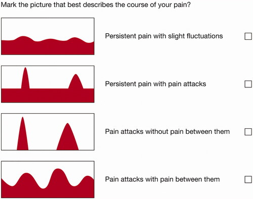 Figure 5. Item regarding pain course patterns.