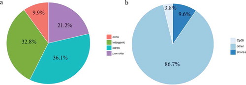 Figure 2. Distribution of DMCpGs (degenerators compared to regenerators) according to the gene region. (a) Pie chart showing the percentage of DMCpGs located in promoters, exons, introns, and intergenic regions. (b) Pie chart showing the percentage of DMCpGs located in CpG islands (CpGi), CpG shores (regions within 2 kb of a CpG island), and others.
