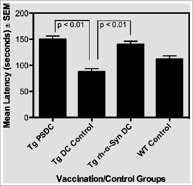 Figure 3. Rotometric locomotor performance of Tg mice at age 17 months after the vaccination regimen with either PSDC or rh-α− Syn sensitized DCs. The PSDC (i.e. Tg PSDC) or rh-α− Syn sensitized (i.e., Tg rh-α− Syn) DC vaccinated Tg mouse groups performed significantly better (i.e. higher latency values) on the rotorod test than did Tg mice vaccinated with non-sensitized DCs (i.e., Tg DC Control). Latency values are also provided for WT (wild type) control mice (i.e. WT Control).