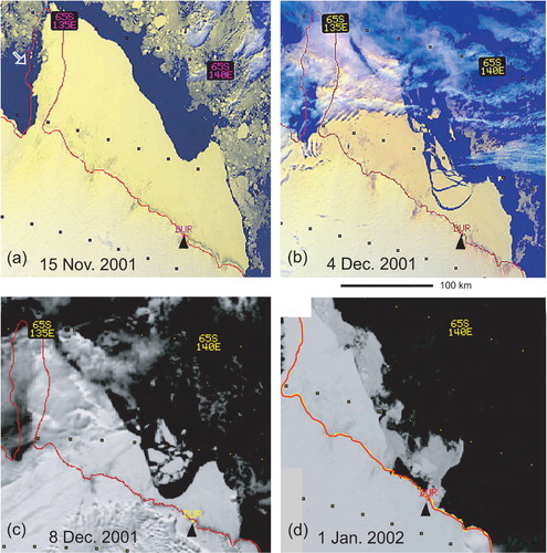 Fig. 2 MétéoSat infra-red satellite images of the sea-ice extent and changes during the ice break-up, Adélie Land, Antarctica from 15 November 2001 to 1 January 2002 (from NOAA12 and NOAA14, via the Service d'Archivage et de Traitement Météorologique des Observations Satellitaires, Lannion, France). The black arrows show station R1 in the Dumont d'Urville Sea and the white arrow in (a) shows the Dibble Glacier tongue. The red lines demarcate the continental limits for the purposes of this study.