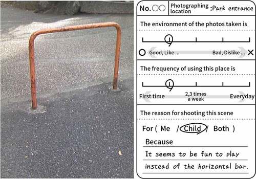 Figure 2. Questionnaire entry example.