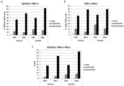 Figure 8. Polyfunctional and cytotoxic T cell response.Same experiment as in Figures 6 and 7. Primary T cells were transfected with C13 or D71 and stimulated with irradiated EBV-transformed cells ± hTERT protein (2 μM) or peptide GV1001 (20 μM). The cultures were incubated overnight and analysed by flow cytometry. (a) and (b) show the proportion of cells that stained double positive for TNFα/CD107a and TNFα/IFNγ, respectively. (c) shows the proportion of cells that stained triple positive for CD107a/TNFα/IFNγ. The proportions were calculated from quartiles in dot plots, as shown in Figure 7. Figures 6–8 show representative data from three experimental runs with GV1001, of which two also included hTERT protein.