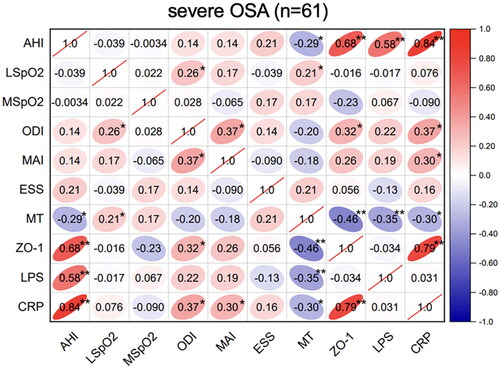 Figure 3. Correlations between sleep data and serum biomarkers in severe OSA. Spearman’s rank correlation coefficients were calculated to determine the influence of PSG variables on the levels of serum biomarkers in severe OSA (n = 61). The r values are represented by gradient colors, with red cells indicating positive correlations and the blue cells indicating negative correlations. *P < .05; **P < .01. Abbreviations: AHI: apnea-hypopnea index, MSpO2: mean pulse oxygen saturation, LSpO2: lowest pulse oxygen saturation, ODI: oxygen desaturation index, MAI: micro-arousal index, ESS: Epworth sleepiness scale, MT: melatonin, ZO-1: zonula occludens-1, LPS: lipopolysaccharide, CRP: C-reactive protein, PSG: polysomnography.