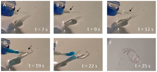 Figure 7. Multiple frames of a digital video showing the delivery of a lens-like 3D object from a surgical injector. The first three images (A–C) show the prototype, indicated with an arrow, inside the injector and being delivered to the aqueous medium. The implant unfolds upon release from the injector (D,E) until it recovers its original shape (F).
