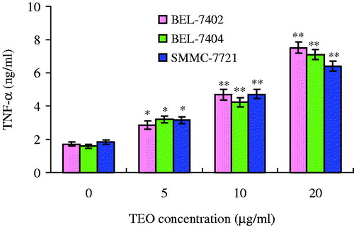 Figure 6. The levels of TNF-α as affected by TEO in treatment of three HCC cell lines. Values are expressed as mean ± SD of triplicate samples. *p < 0.05 and **p < 0.01 compared with control group.