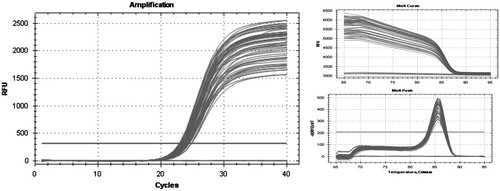 Figure 4. Amplification of Fkbp5 cDNA and corresponding melt curve data. We ran three no reverse transcriptase controls and three no template controls, which did not amplify, indicating primer specificity for the amplicon and an absence of primer dimerization. RFU: relative fluorescent units; -d(RFU)dt: change in fluorescence with temperature.