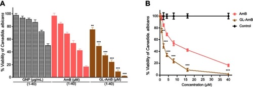 Figure S7 In vitro activity of AmB and NPs after 48 h treatment against C. albicans (A). Comparative efficacy of AmB and GL-AmB against C. albicans (B).Note: **0.05<P<0.01; ***0.01<P<0.001.Abbreviations: AmB, amphotericin B; GL, GNP-lipoic acid product; GNP, gold nanoparticle.