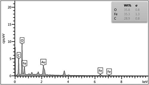 Figure 5. EDX spectrum of Fe3O4@Pectin NPs.
