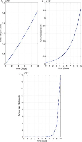 Figure 4. The dynamics of the tumour size in three treatment regimes. Shown are the results of the numerical simulations for human data corresponding from Table 2 with initial condition T(t)=105, B(t)=105, R(t)=105, E(t)=105, I(t)=105, M(t)=105.