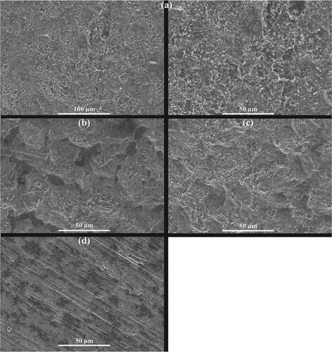 Figure 8. High magnification SEM results of steel surfaces after 24-hour immersion in 0.5 M H2SO4 without CI (a), and with CI at (b) 100 ppm, (c) 1000 ppm and (d) 3000 ppm.