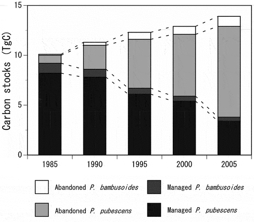 Figure 3. Changes in the predicted carbon stocks of bamboo forests (CSbamboo) in Japan from 1985 to 2005.