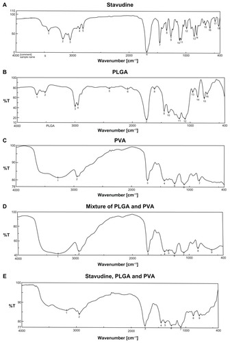 Figure 1 FTIR spectra of (A) stavudine; (B) PLGA; (C) PVA; (D) PVA and PLGA mixture; and (E) stavudine, PVA, and PLGA mixture.Abbreviations: FTIR, Fourier transform infrared spectroscopy; PLGA, poly(d,l-lactic-co-glycolic acid); PVA, polyvinyl alcohol.