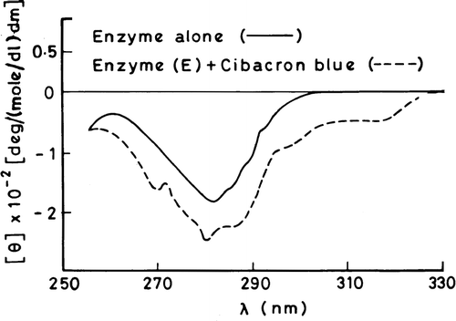 Figure 6 Near-UV CD spectral profiles of 3-HBA-6-hydroxylase in the absence and presence of cibacron blue.