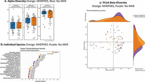 Figure 1. Bacterial species comparison between patients with MHEPHES (n = 47) versus not (n = 50)1A: Alpha diversity analyses did not show any differences between groups 1B: Cleveland plot derived from DESeq2 comparison 1 C: PCoA showing no significant separation between groups (PERMANOVA not significant)