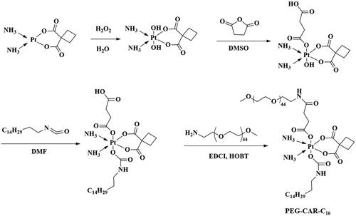 Figure 1. Synthesized rout of amphipathic PEG-CAR-C16.