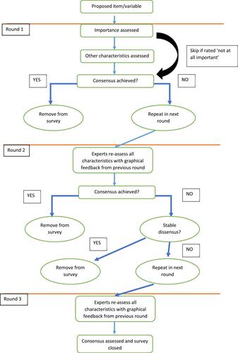 Figure 1 Schematic illustrating the Delphi survey process.