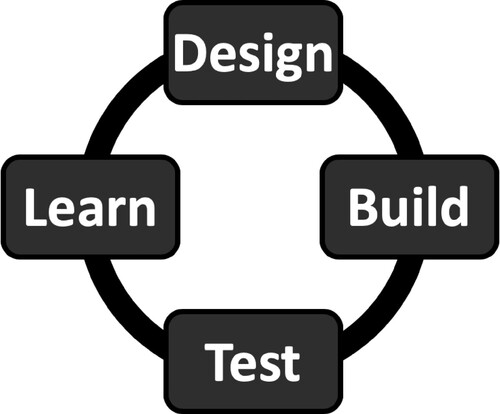 Figure 1. The design, build, test, learn cycle that underpins engineering approaches to biology.