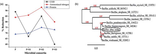Figure 1. (a) Screening of microbial consortia. (b) Phylogenetic tree of strain Bacillus albus.