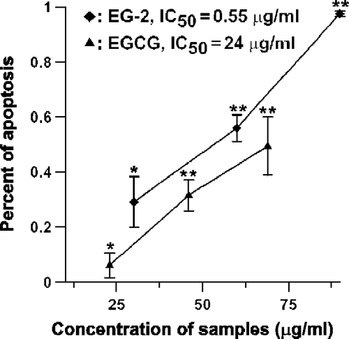 Figure 3.  Impact of EGCG and EG-2 on MCF-7 cell viability. After been seeded in the 96-well plate, the breast cancer cells, MCF-7, were incubated with different concentrations of EGCG or EG-2 for 24 h. The percentage of viable cells was determined by MTT assay. Data are represented as means ± SD (n = 3). *Significantly different (p < 0.05) from control cells (no EGCG or EG-2) by Tukey test. **Significantly different (p < 0.01) from control cells (no EGCG or EG-2) by Tukey test.