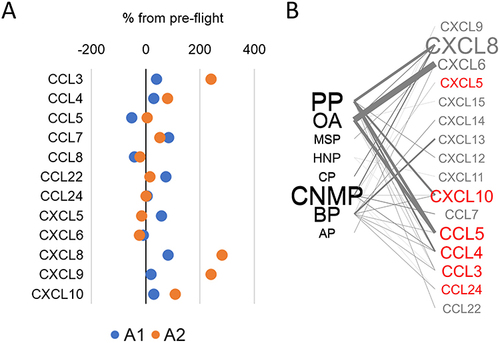 Figure 2 Spaceflight-induced changes in chemokines. (A) For each astronaut (A1 and A2), the percentage change from pre-flight was calculated and plotted for reported chemokines. (B) Map of associations between painful conditions and the reported chemokines. The size of the letters is proportional to the frequency of mention; the thickness of the connecting lines is proportional to the total number of patients in reported studies, red font indicates consistently negative association, grey font: variable association or no association.