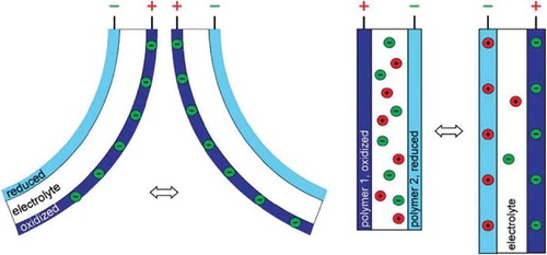 Figure 17. Illustration of a tri-layer conjugated polymer actuator demonstrating bending actuation (left) and linear actuation (right). Figure reprinted with permission from [Citation225].